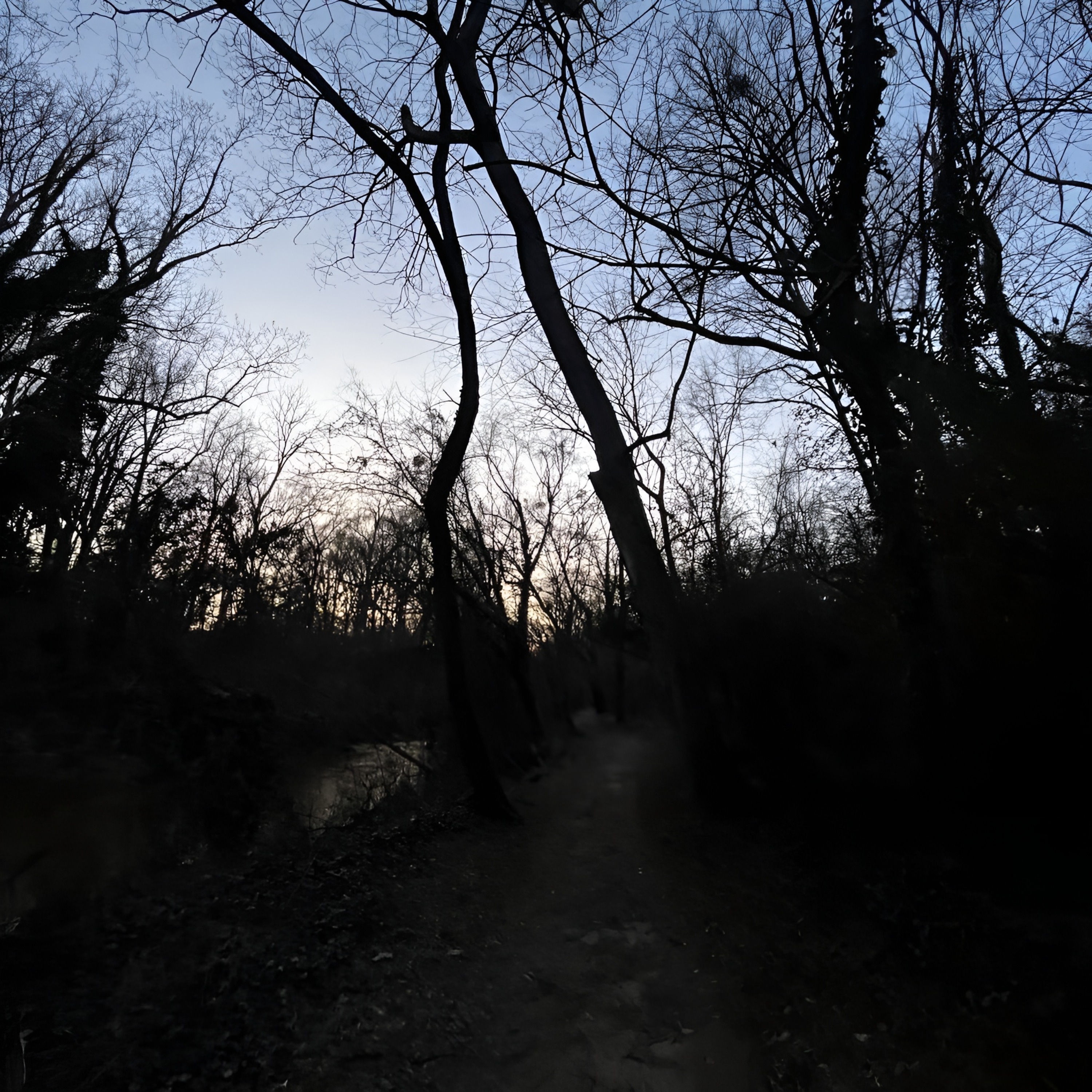 back2themorgue cover